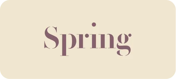 Spring Marketing Capital
