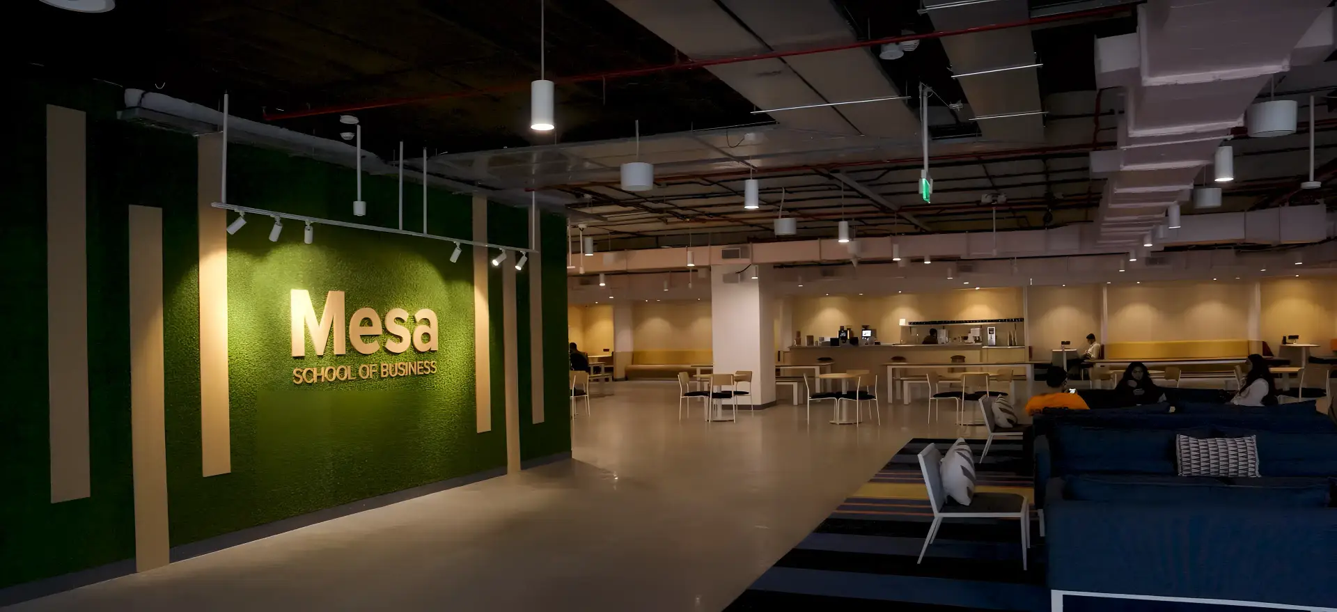 About Mesa School of Business